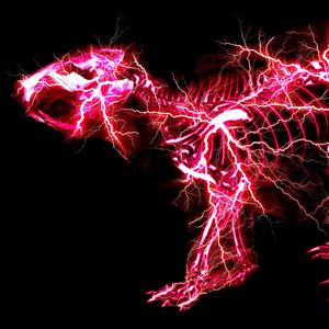 日韩在线视频在线
